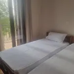 Rodi