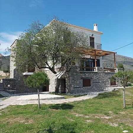 Rodi